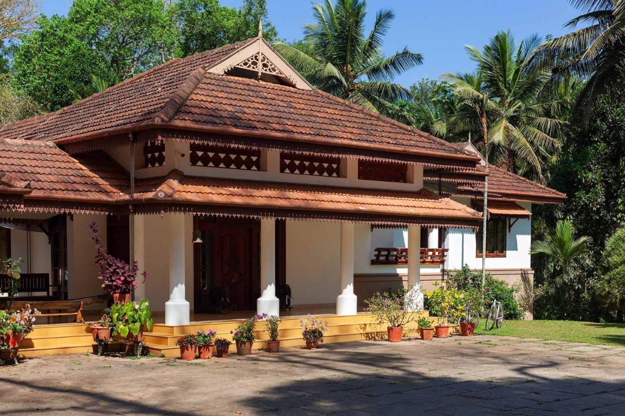 Stayvista At Crystal Homestay Coorg With Breakfast Midst Coffee Estate Madikeri Exterior photo